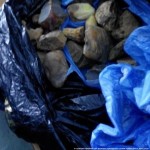 На Волыни у мужчины нашли более 5 килограммов контрабандного янтаря